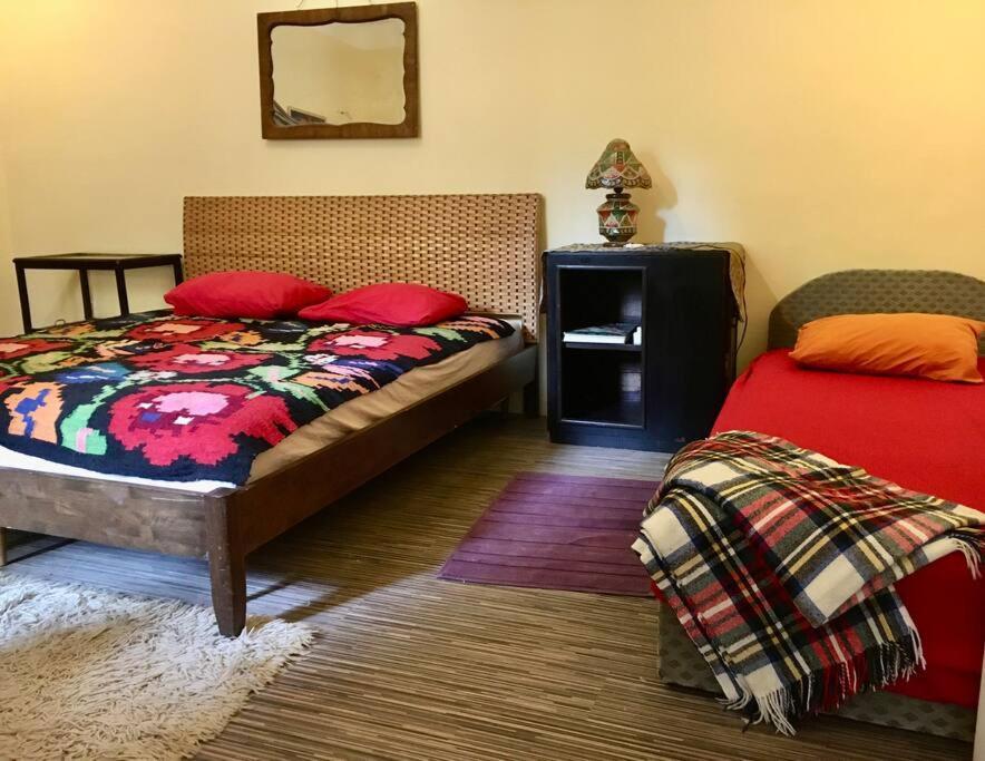 Vintage Studio Apartment, Garden And Free Parking Будапеща Екстериор снимка