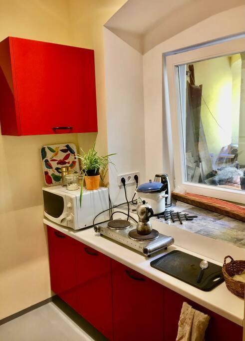 Vintage Studio Apartment, Garden And Free Parking Будапеща Екстериор снимка