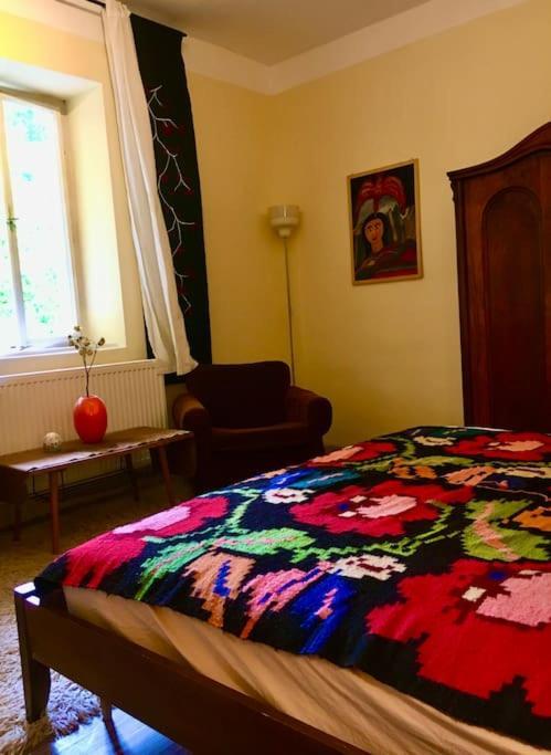 Vintage Studio Apartment, Garden And Free Parking Будапеща Екстериор снимка