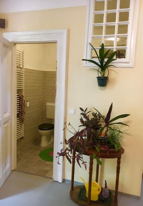 Vintage Studio Apartment, Garden And Free Parking Будапеща Екстериор снимка